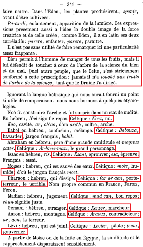 La vraie langue celtique - Le livre p000 archéologie 1860 07