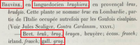 La vraie langue celtique - Page 11 p011 image 04