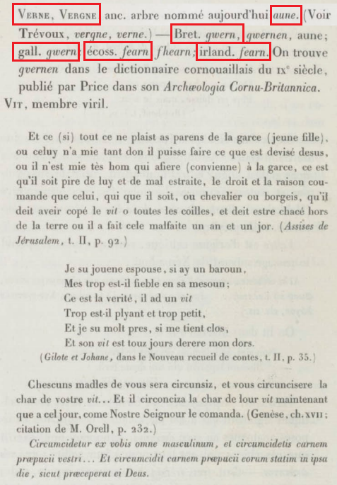 La vraie langue celtique - Page 11 p011 image 16