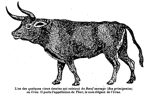 La vraie langue celtique - Page 17 p017 image 04