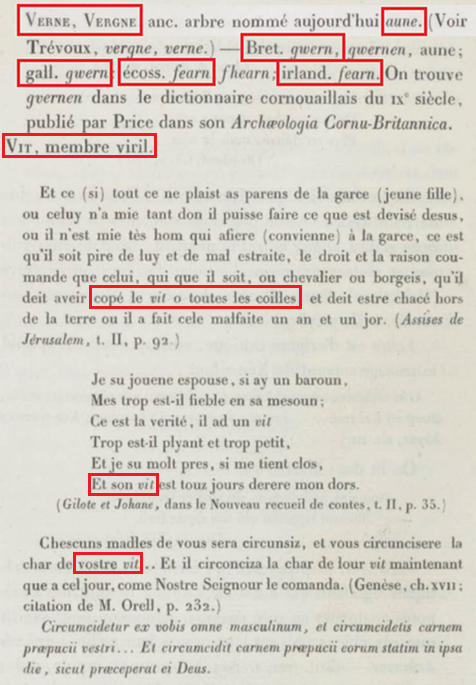 La vraie langue celtique - Page 18 p018 image 20