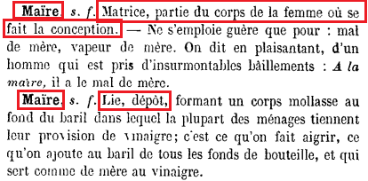 La vraie langue celtique - Page 20 - Première partie p020 image a36