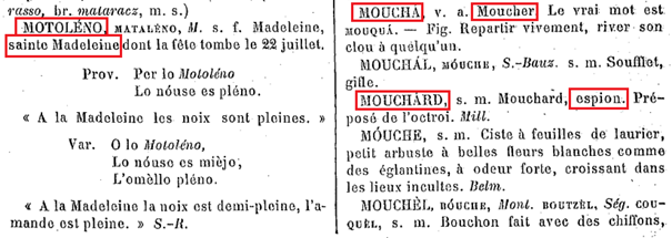 La vraie langue celtique - Page 21 - Première partie p021 image a17