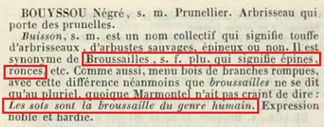 La vraie langue celtique - Page 21 - Première partie p021 image a76