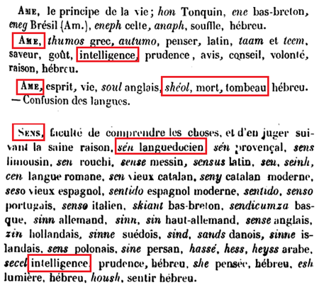 La vraie langue celtique - Page 21 - Première partie p021 image a80