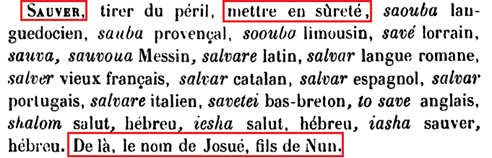 La vraie langue celtique - Page 21 - Première partie p021 image b25