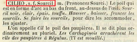 La vraie langue celtique - Page 21 - Seconde partie p021 image b30