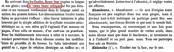 La vraie langue celtique - Page 21 - Seconde partie p021 image b86