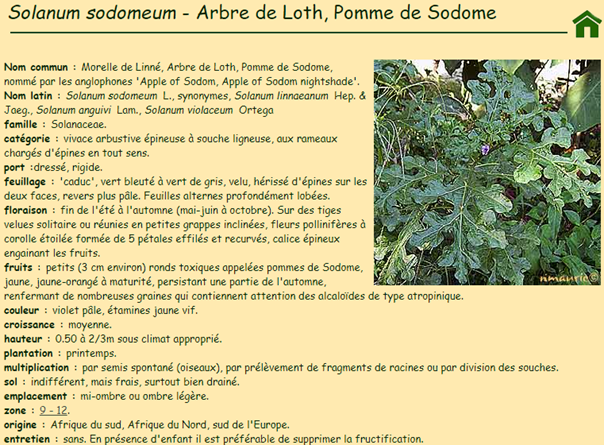 La vraie langue celtique - Page 61 p061 image 17