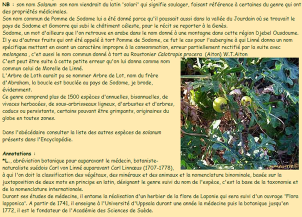 La vraie langue celtique - Page 61 p061 image 18