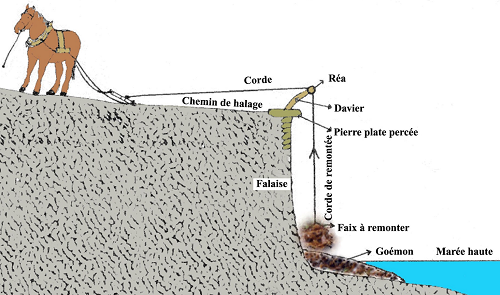 La vraie langue celtique - Page 81 p081 image 08