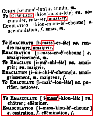La vraie langue celtique - Page 95 p095 image 09