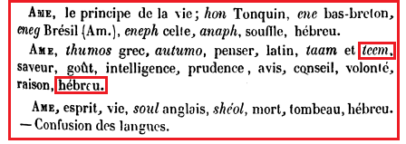La vraie langue celtique - Page 102 p102 image 23